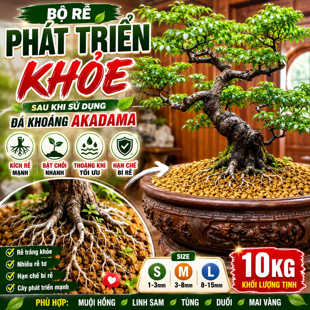 Akadama Vĩnh Cửu 10kg – Đá Khoáng Trồng Bonsai 3 Tầng, Kích Rễ Bật Chồi, Cho Muội Hồng, Linh Sam, Tùng, Mai Vàng, Duối - Ảnh 2